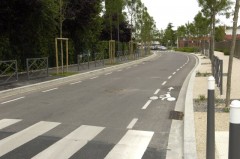 buisson gDSC0109allege.jpg