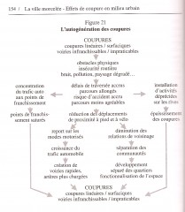 auto-génération.jpg