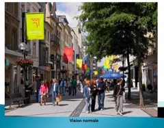 vision normale.jpg