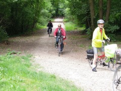Traversée de forêt francilienne.jpg