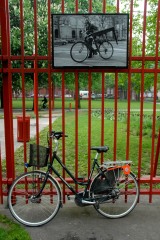 Copie de DSC_0018.JPG