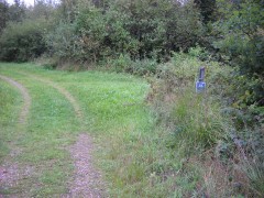 verdure02.JPG
