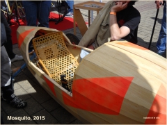 Mosquito.JPG