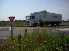 décision de traverser.JPG