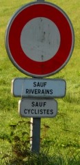 1-sf cycliste.jpg