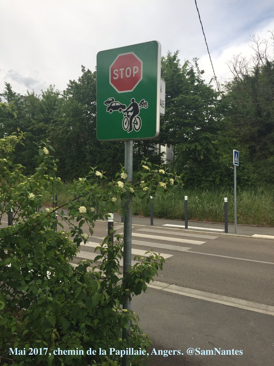 Hé, là-haut, quelqu'un a-t-il déjà vu un vélo ? stop aux piétons