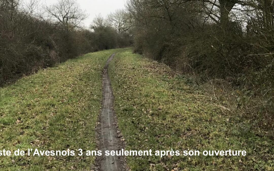 Le Conseil d’Etat soutient le bitume sur une voie verte dans l&rsquo;Orne