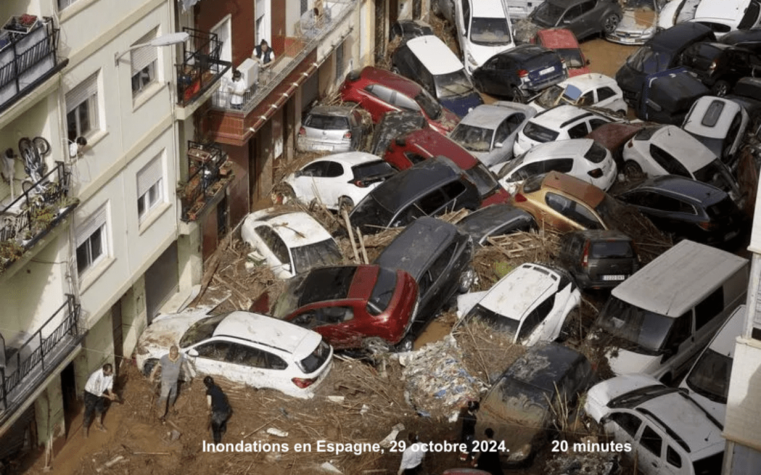 Revue de presse de la fin 2024