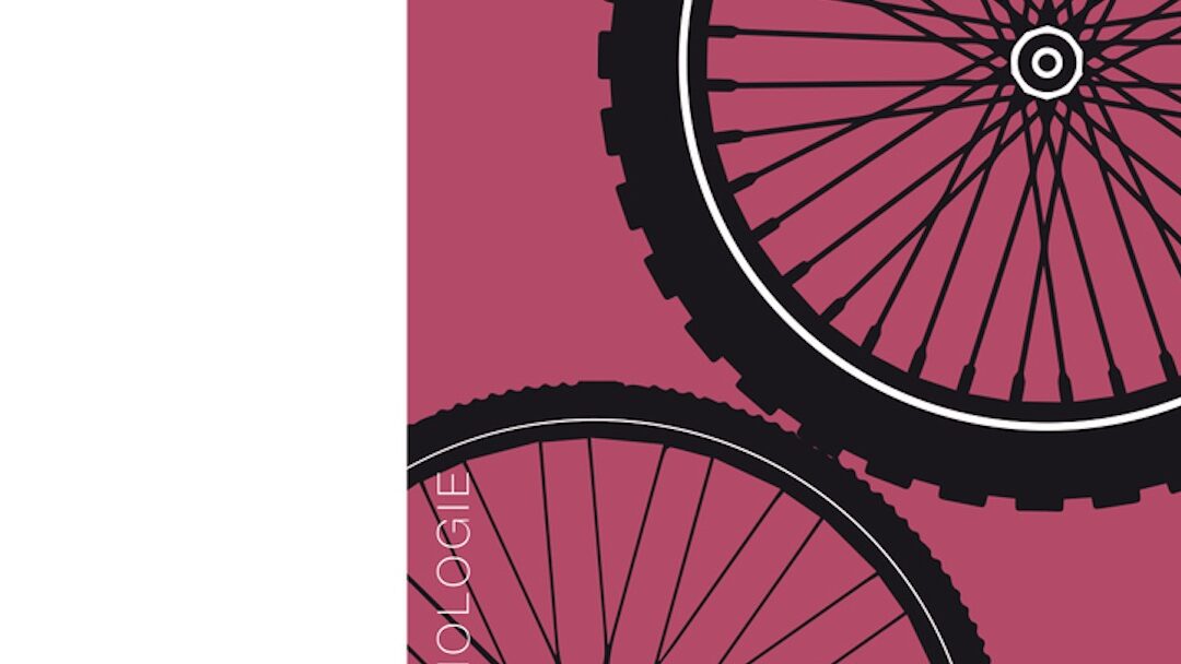Sociologie du vélo, un livre de David Sayagh