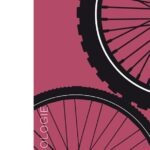 Sociologie du vélo, un livre de David Sayagh Screenshot