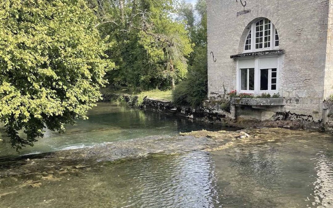 Qu’est-ce que la Seine ? Une thèse en architecture, ou bientôt un désert ?